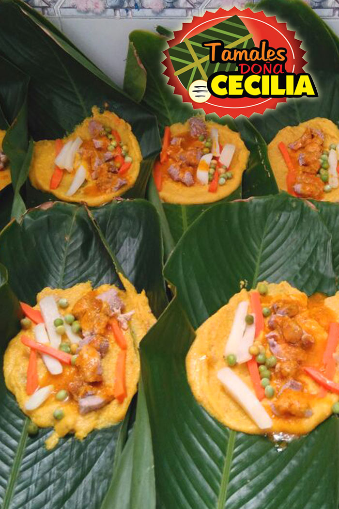 Doña Cecilia